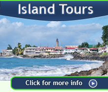 grenada tours island mandoo